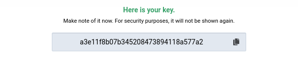 Newly Created API Key